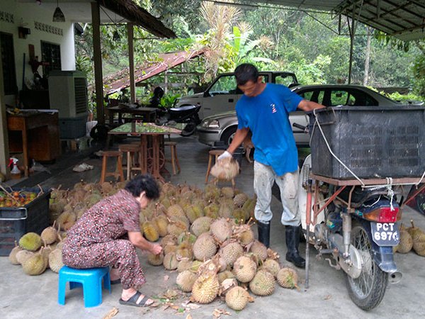 Event Service